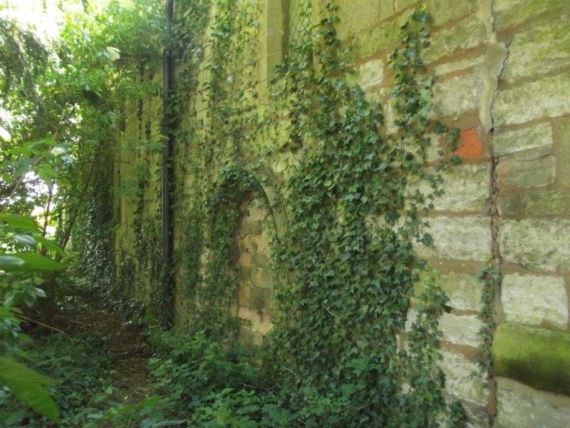 whitish church wall with ivy overgrown