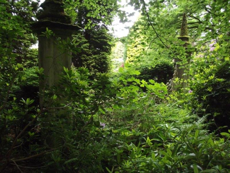 Overgrown plants with just visible stonework