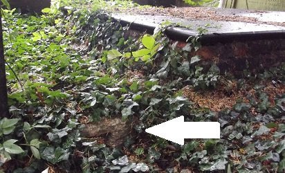 mostly ivy covered grave slave, arrow to uncovered corner