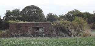 pillbox surrounded by bushes